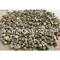 2-2.5cm Organic Green Dried Tea Flower Mushroom